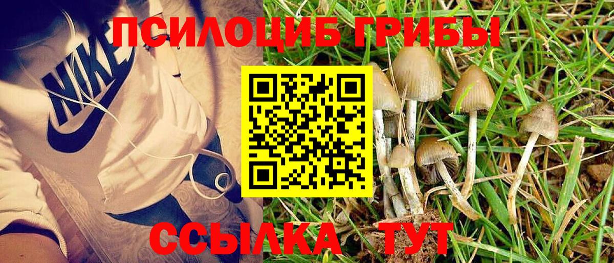 ГАШ  Конопля  Кокаин  Кировск  Метамфетамин  Меф МЯУ МЯУ   Вход с VPN  Гашиш  LSD-25 