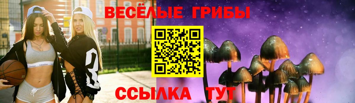 Галлюциногенные грибы мицелий  Галлюциногенные грибы мицелий  сколько стоит  Кировск  Вход с VPN 